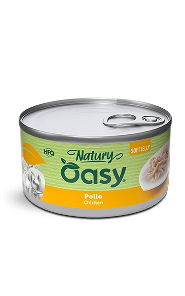 4714_n_oasy-pollo