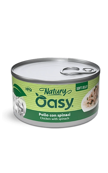 4742_n_oasy-pollo-spinaci
