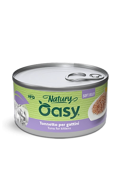 4750_n_oasy-tonnetto-gattini