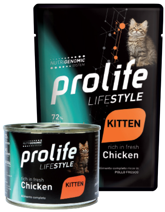 lifestyle-chicken-kitten