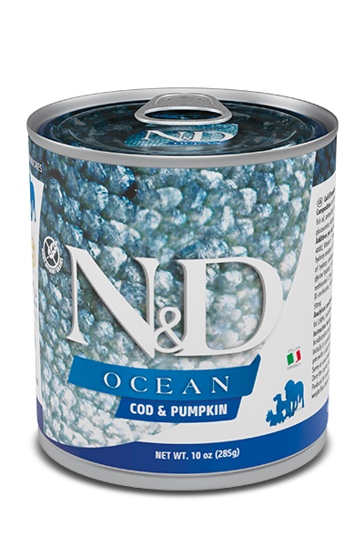 559_24_559_42_nd-ancestral-ocean-285g-cod-pumpkin