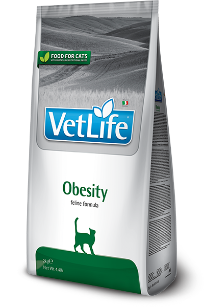 83_48_83_42_vet-life-feline-obesity@web