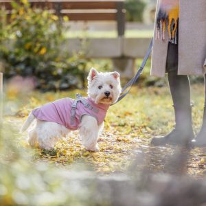 TRIXIE CAPPOTINO CON PETTORINA PONTIS RAIN - immagine 3