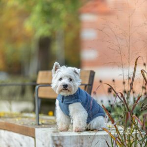 TRIXIE PIUMINO AJOU - immagine 2