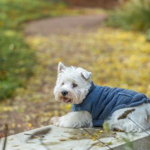 TRIXIE PIUMINO AJOU - immagine 1