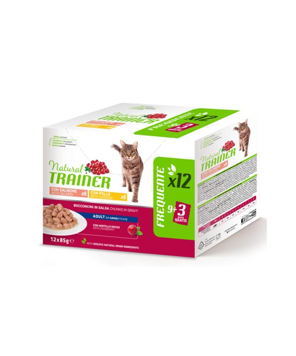 trainer-natural-multipack-24-bst-per-gatti-adult-con-salmone-e-pollo-da-85-gr