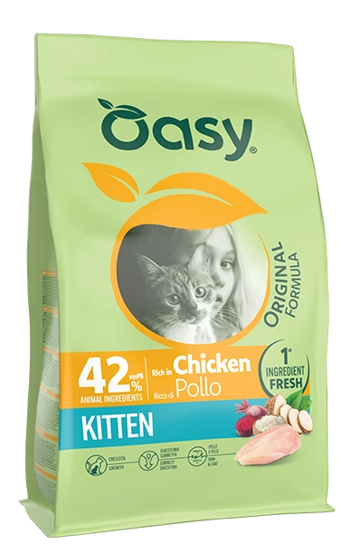 4996_n_original gatto kitten pollo sito