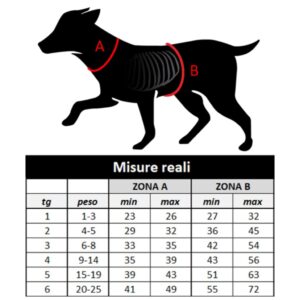 WAW Pettorina ERGOVEST - immagine 5