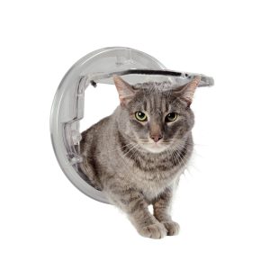 Camon IN&OUT Universal – Porta basculante per gatti grandi e piccoli cani - immagine 3