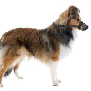 Camon Museruola in rete anti-boccone - immagine 3