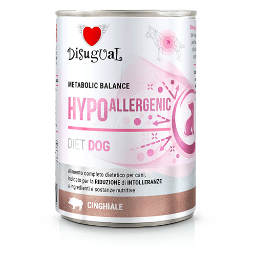 DSDT003_500px.width-500