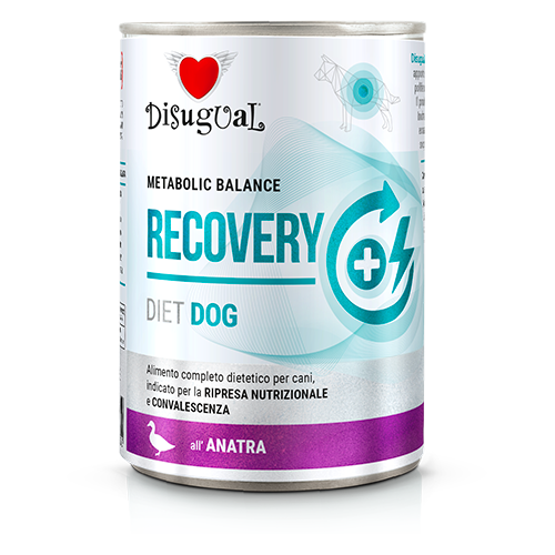 DSDT021_500px.width-500