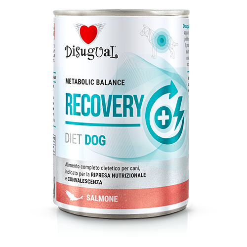 DSDT022_500px.width-500