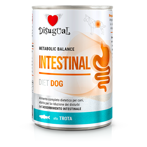 DSDT030_500px.width-500