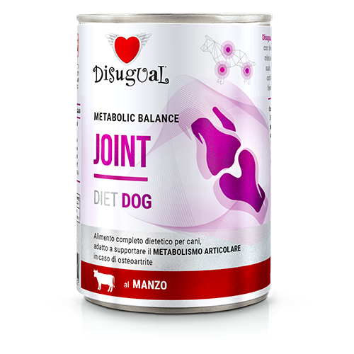 DSDT040_500px.width-500