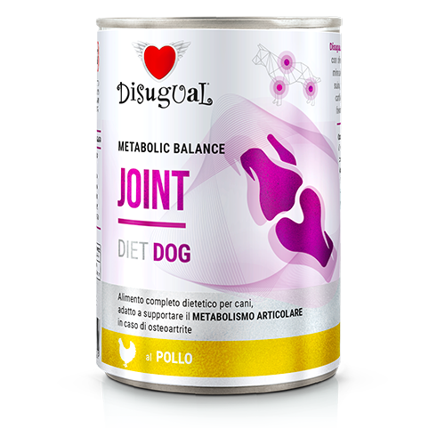 DSDT041_500px.width-500