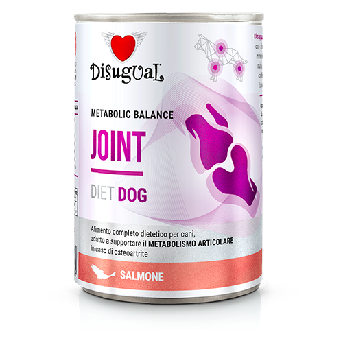 DSDT042_500px.width-500