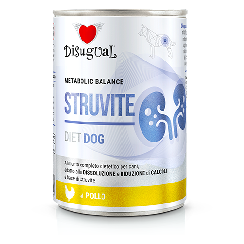 DSDT060_500px.width-500