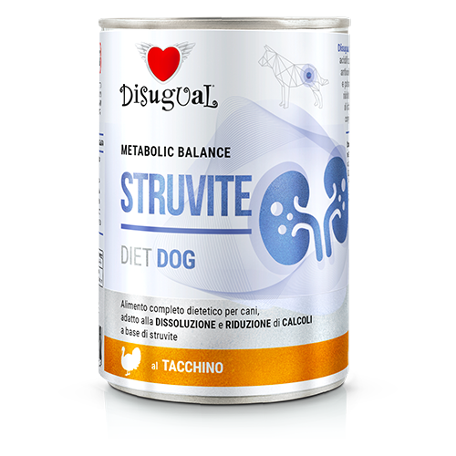 DSDT061_500px.width-500