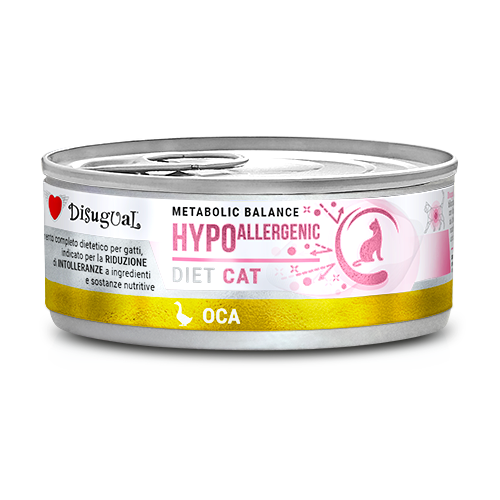 DSDTG001_500px.width-500