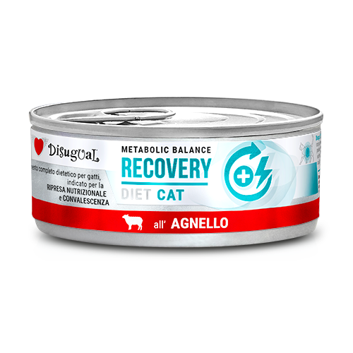 DSDTG020_500px.width-500