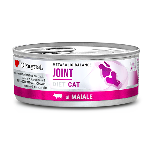 DSDTG040_500px.width-500