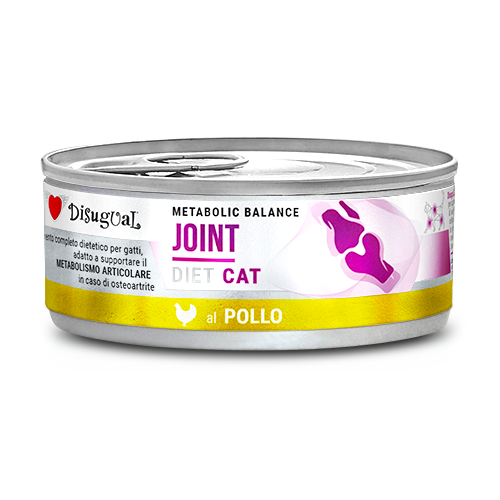 DSDTG041_500px.width-500