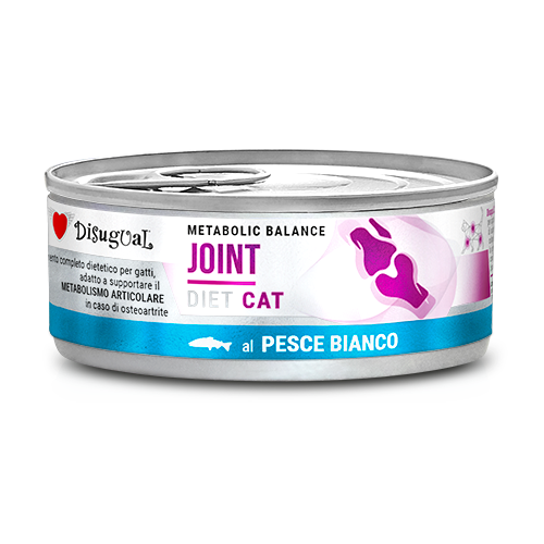 DSDTG042_500px.width-500