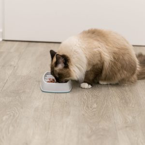 TRIXIE SLOW FEEDING CIOTOLA IN PLASTICA - immagine 5