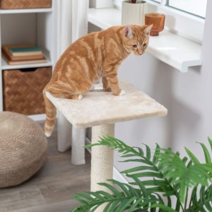 TRIXIE TIRAGRAFFI TRONCHETTO BAENA - immagine 4