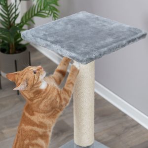 TRIXIE TIRAGRAFFI TRONCHETTO BAENA - immagine 7