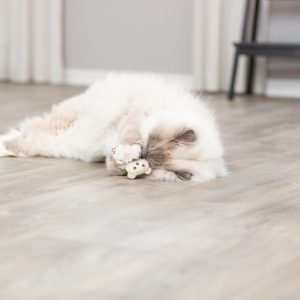 TRIXIE ORSO GIOCHI PER GATTI - immagine 7