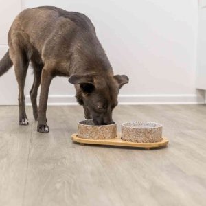 TRIXIE SET DI CIOTOLE IN CERAMICA /BAMBOO - immagine 6