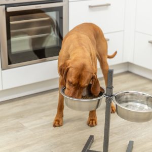 TRIXIE BAR PER CANI, IN METALLO/ACCIAIO INOX - immagine 11