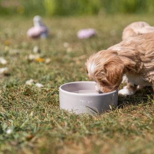 TRIXIE JUNIOR CIOTOLA IN CERAMICA - immagine 13