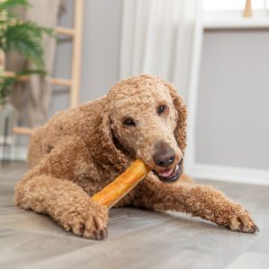 TRIXIE ROLL SNACK - immagine 5