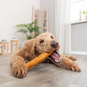 TRIXIE ROLL SNACK - immagine 4