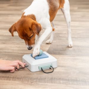 TRIXIE GAMBLE BOX - immagine 3