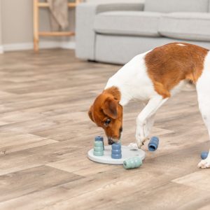 TRIXIE MINI SOLITARIE - immagine 3