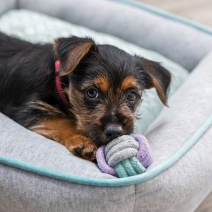 TRIXIE JUNIOR BILANCIERE IN CORDA - immagine 5