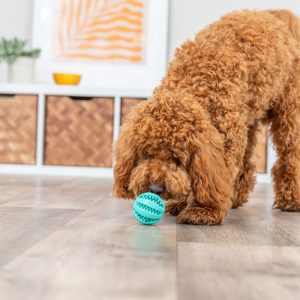 TRIXIE DENTA FUN BASEBALL PALLA - immagine 3