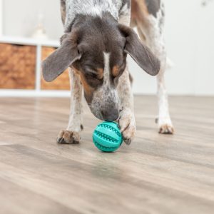 TRIXIE DENTA FUN BASEBALL PALLA - immagine 4