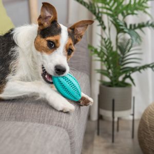 TRIXIE DENTA FUN PALLA DA RUGBY - immagine 2