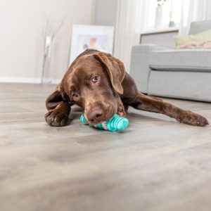 TRIXIE DENTA FUN OSSO - immagine 4