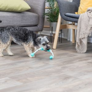 TRIXIE DENTA FUN BASTONCINO CON CORDA - immagine 2