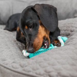 TRIXIE DENTA FUN BASTONCINO CON CORDA - immagine 3