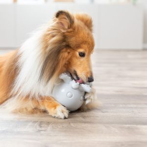 TRIXIE POLPO SNACK - immagine 5