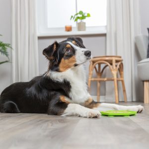 TRIXIE TAPPETINO LICK'N'SNACK - immagine 4