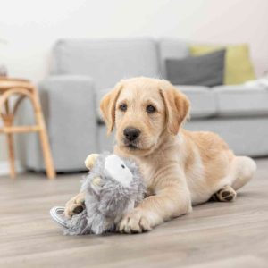 TRAIXIE JUNIOR GIOCO SENZA IMBOTTITURA - immagine 4