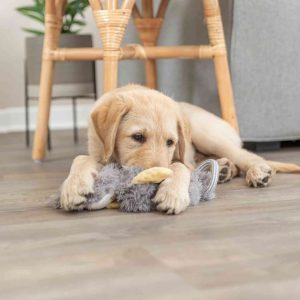 TRAIXIE JUNIOR GIOCO SENZA IMBOTTITURA - immagine 5